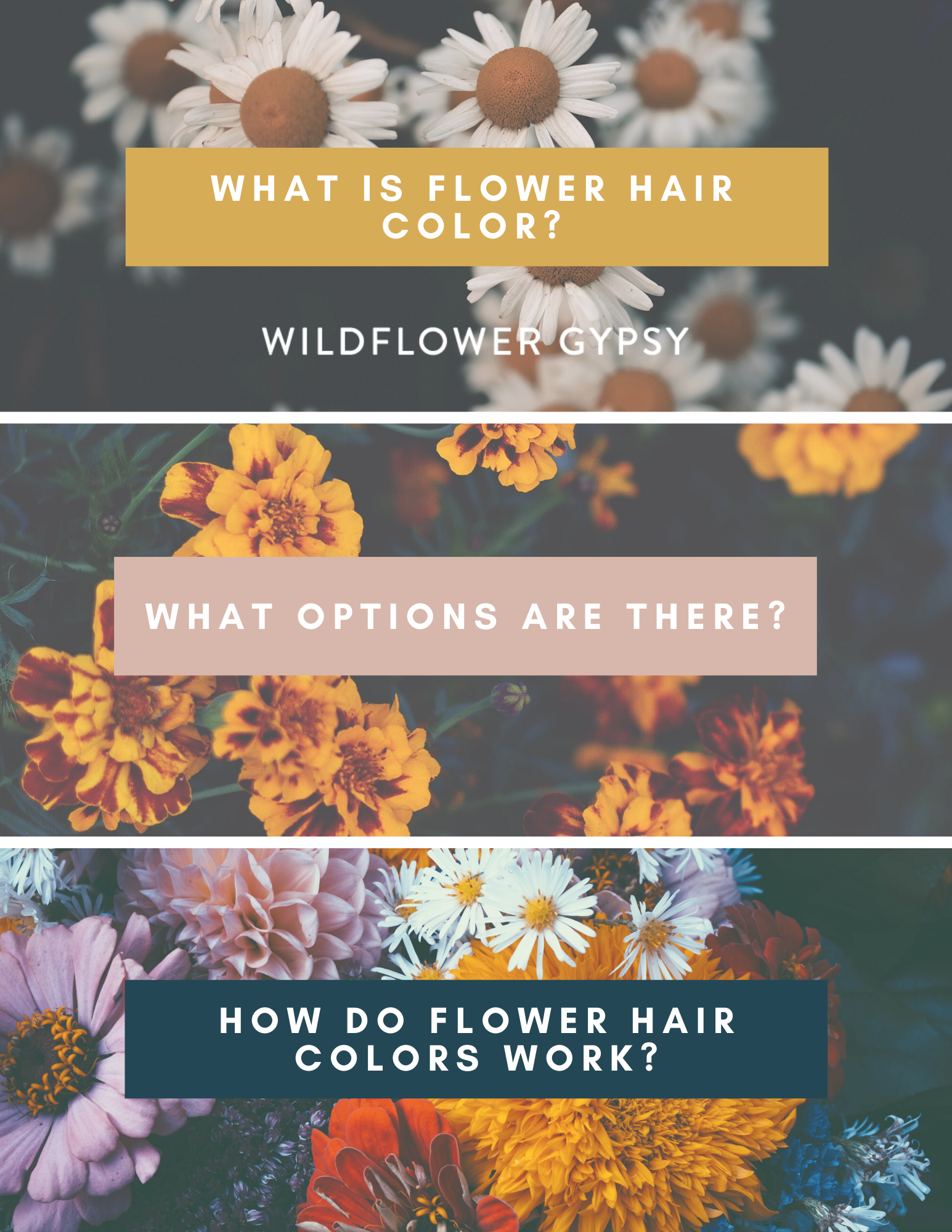 What is Flower Hair Color?