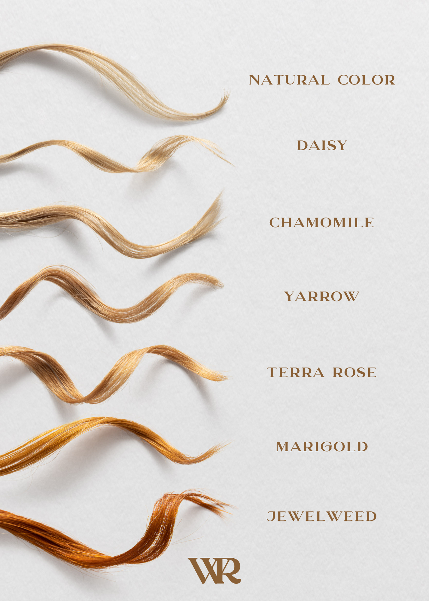 Marigold | Copper Blonde | Flower Hair Color Powder